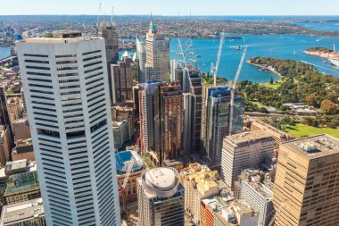 SYDNEY, AUSTRALYA - 31 Mart 2019: Sydney Merkez İş Bölgesi ve Kraliyet Botanik Bahçeleri manzarası.