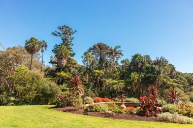 Vaucluse Evi 'nin orijinal peyzaj bahçeleri. Vaucluse' un Sydney banliyösündeki 19. yüzyıl malikanesi..