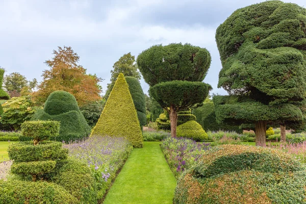 Fantasticky Tvarované Keře Nejstarším Topiary Parku Světě Levens Hall Cumbria — Stock fotografie