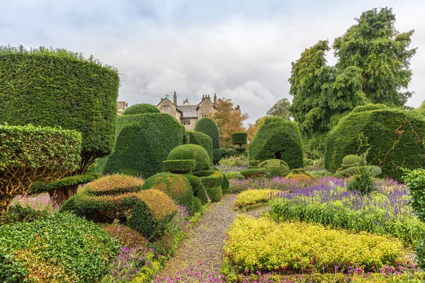 Fantasztikusan Formázott Bokrok Világ Legrégebbi Kertészeti Parkjában Levens Hall Cumbria — Stock Fotó