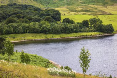 İngiltere 'nin Peak District Ulusal Parkı' nın batı ucundaki Dovestone Reservoir 'in kırsal manzarası..