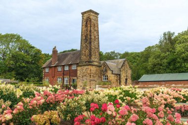 Worsley, Salford, İngiltere - 25 Ağustos 2024: RHS Bridgewater bahçelerindeki Bothy adlı uzun kuleli eski bir tuğla binanın önünde filizlenen ortanca çalıları.