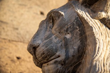 Napoli 'nin tarihi meydanındaki taş bir aslan heykelinin yıpranmış dokusunu yansıtan güneşten sırılsıklam olmuş yakın çekim görüntüsü.