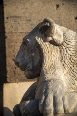 Görkemli aslan heykeli, Napoli 'nin göbeğindeki tarihi meydanda karmaşık detaylar sergilerken sıcak güneş ışığına yakalandı.