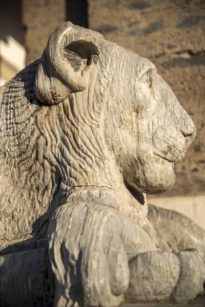 stock image Close-up view of a weathered stone lion sculpture basking in the warm sunlight at naples' iconic piazza plebiscito