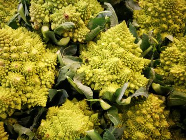 Taze hasat edilmiş Romanesco brokoli başları ve spiral fraktal çiçekleri bir çiftçi pazarında satışa çıkarıldı.