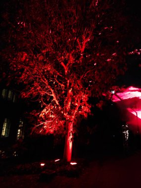 Barselona 'da Noel ışıkları gösterimi (İspanya)