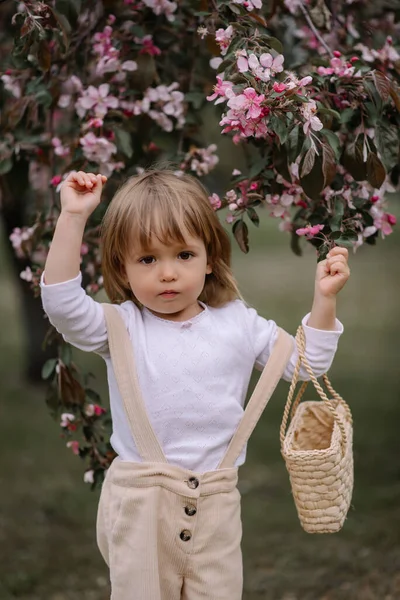 A little girl, a child in beige pants and a white blouse, with a basket on her shoulder, runs through the green grass with a twig in her hand. Pink blossoming apple tree on a blurred background