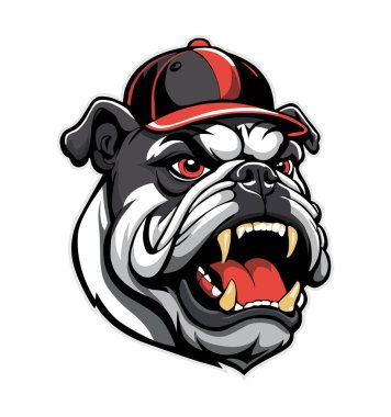 Beyzbol Kaptanı Bullidog.