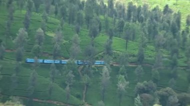 Nuwara Eliya 'dan Kandy' ye giden tren Sri Lanka 'nın dağlık bölgelerindeki çay tarlalarının arasında.