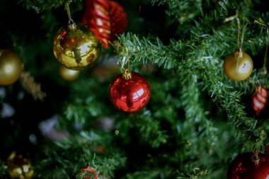 Noel süsü. Çam dallarına kırmızı toplar asmak