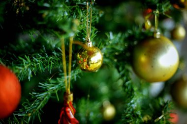 Noel süsü. Çam dallarında asılı sarı toplar