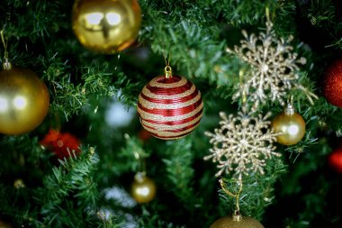 Noel süsü. Çam dallarına kırmızı toplar asmak
