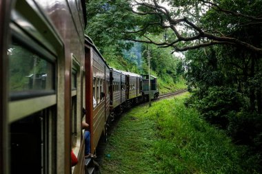 Sri Lanka 'nın Colombo Kalesi Badulla İstasyonu' na giden ana tren istasyonu sık ormandan geçiyor..