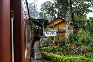 Sri Lanka 'nın Colombo Kalesi Badulla İstasyonu' na giden ana tren istasyonu sık ormandan geçiyor..