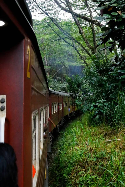 Sri Lanka 'nın Colombo Kalesi Badulla İstasyonu' na giden ana tren istasyonu sık ormandan geçiyor..