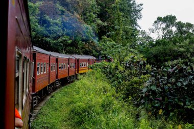 Sri Lanka 'nın Colombo Kalesi Badulla İstasyonu' na giden ana tren istasyonu sık ormandan geçiyor..