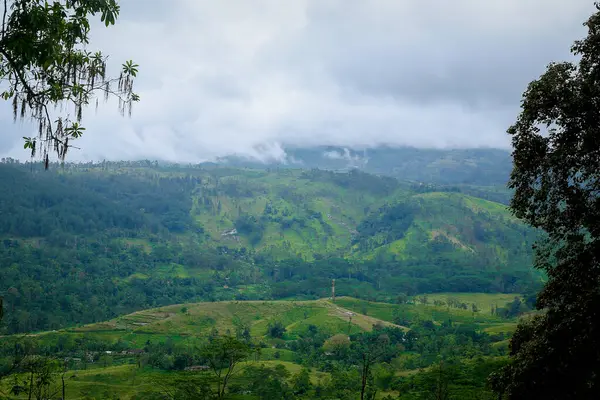 Sri Lanka 'nın dağlık bölgesinde güzel bir manzara bulundu.