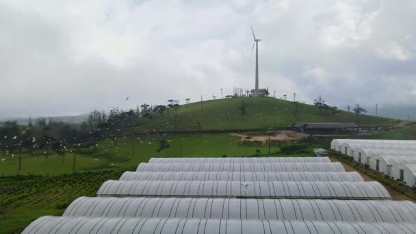 Vacker Antenn Utsikt Över Vindkraftverk Nära Nuwara Eliya Sri Lanka — Stockvideo
