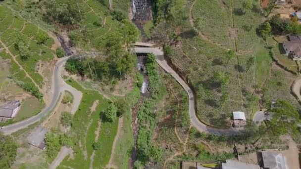 Nanuoya瀑布的空中美景坐落在Nuwara Eliya区的Nanu Oya 高60米 沿着20级以上的阶梯级联而下 — 图库视频影像