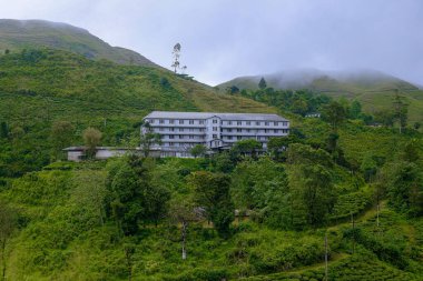 Nuwara Eliya Sri Lanka 'daki çay fabrikası manzarası