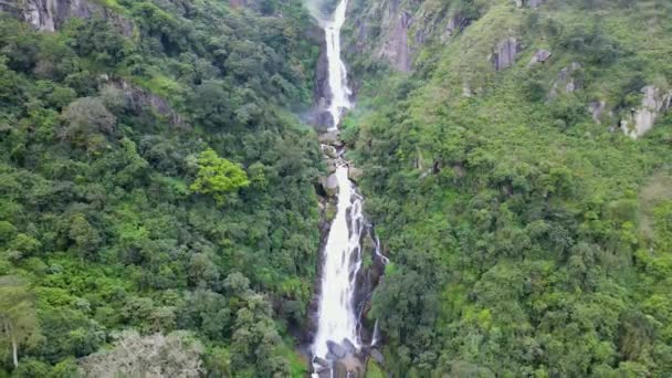 スリランカのヌワラエリヤ近くの深い森で滝の美しいアレルギーの景色 — ストック動画