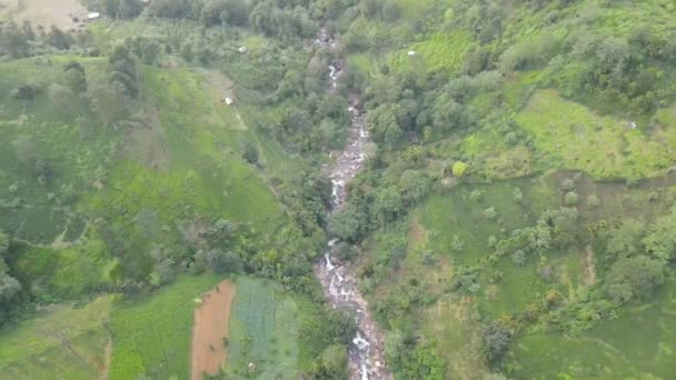 Piękny Areal Widok Wodospad Głębokim Lesie Pobliżu Nuwara Eliya Sri — Wideo stockowe