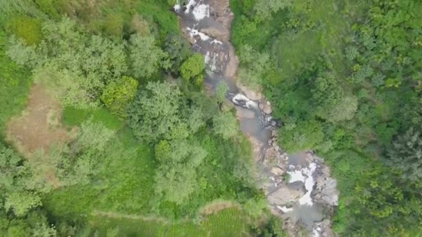 スリランカのヌワラエリヤ近くの深い森で滝の美しいアレルギーの景色 — ストック動画
