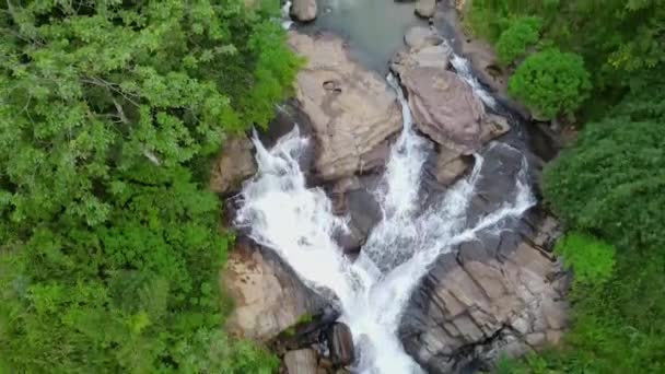 Hermosa Vista Real Cascada Bosque Profundo Cerca Nuwara Eliya Sri — Vídeos de Stock