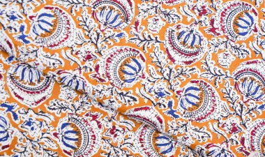 Onam, Pongal ve düğün için Hint sarisi koleksiyonu. Desenli Kumaş Desenli Madde.