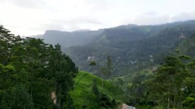Ramboda Su Şelalesi Sri Lanka 'daki güzel çay tepelerinin arasında yer almaktadır.