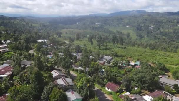 스리랑카 누와라와라와야의 아름다운 가운데 마을과 아름다운 아레알 — 비디오
