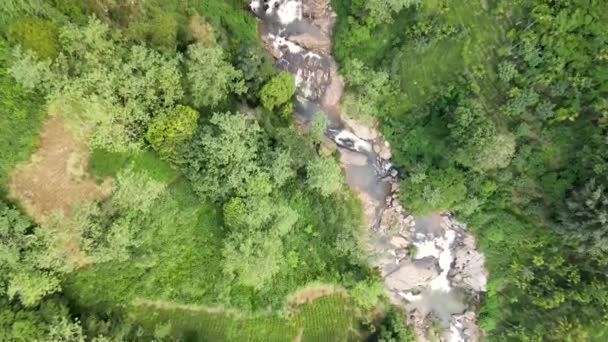 Ramboda Water Falls Znajduje Się Pośród Pięknych Wzgórz Herbaty Sri — Wideo stockowe