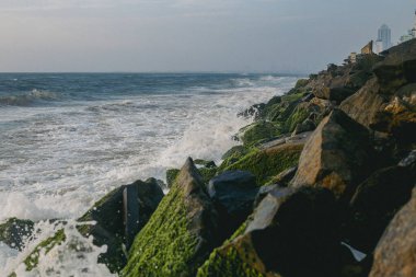 Hint Okyanusu 'nun güneşli havasında sahilde taş kayalar..