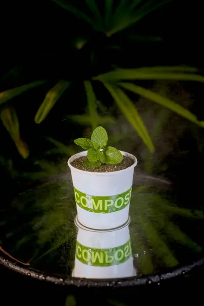 Küçük bitkilerle gübre toprağını geri dönüştür