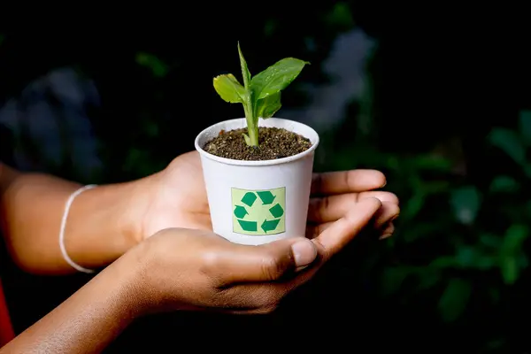 Geri dönüşüm ve atık kabında sıkıştırılmış bitkilerle ilgilenen kadınlar