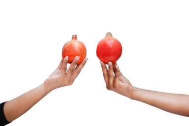 Kadınlar beyaz arka planda el ele tutuşan kırmızı narlardır..