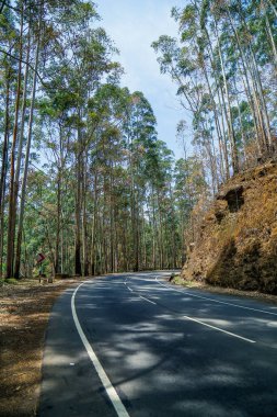 Nuwara 'daki güzel tepeler, Eliya Sri Lanka kavşağı.