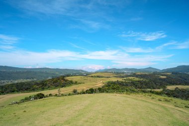 Mavi gökyüzü manzaralı Ay Ovaları Sri Lanka Nuwara Eliya Sri Lanka