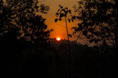 Sri Lanka 'da günbatımında sonbahar ormanı