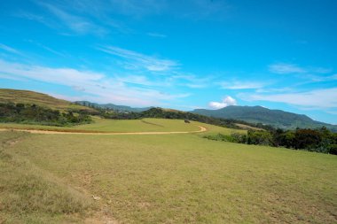 Ay düzlüklerinin yeşil manzarası Sri Lanka Nuwara Eliya Sri Lanka