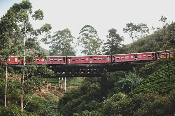 Sri Lanka treni Sri Lanka 'daki en güzel tren yolculuğu. Köprüdeki en güzel tren.