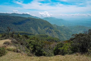 Ay düzlüklerinin güzel ormanı Sri Lanka Nuwara Eliya Sri Lanka