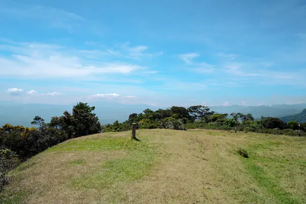Mavi gökyüzü ve Ay ormanı manzaralı Sri Lanka Nuwara Eliya Sri Lanka