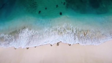 Saldırı _ Savunma mektubu kumsala yazıldı ve bir dalga ile silindi, ve yeni bir harf konsepti videosu ortaya çıkardı