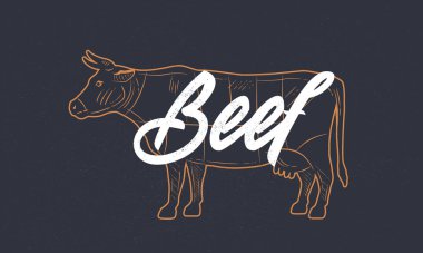 İnek, sığır eti eskizi. İnek silueti ve grunge deseni. Klasik poster. Tipografi. Vektör illüstrasyonu.