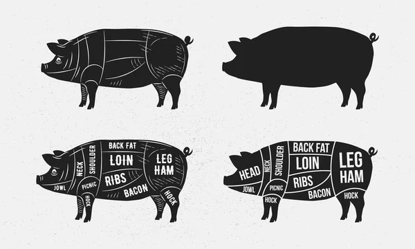 Pig Pork Set Pig Silhouette Pork Butcher Diagram Template Cuts — Stock Vector