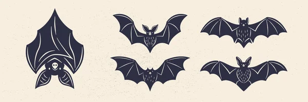 Set Bat Icons Different Bat Icons Isolated White Background Vintage — Stock Vector