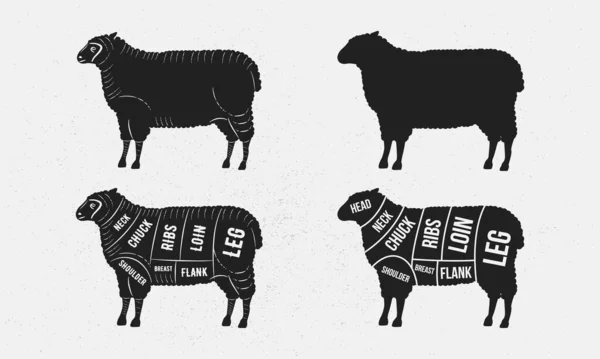 Set Pecore Silhouette Pecora Carne Montone Modello Diagramma Macellaio Tagli — Vettoriale Stock