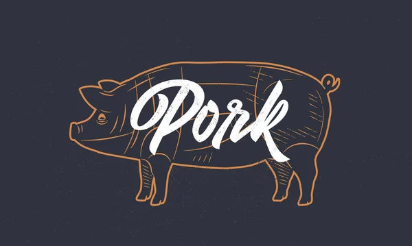 Pig Pork Vintage Sketch Pig Silhouette Grunge Texture Vintage Poster — Stock Vector